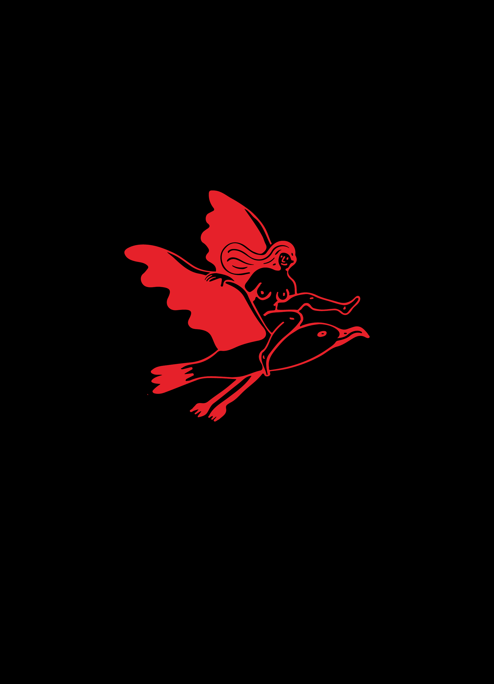 Seapoint Seagulls Brand & Design