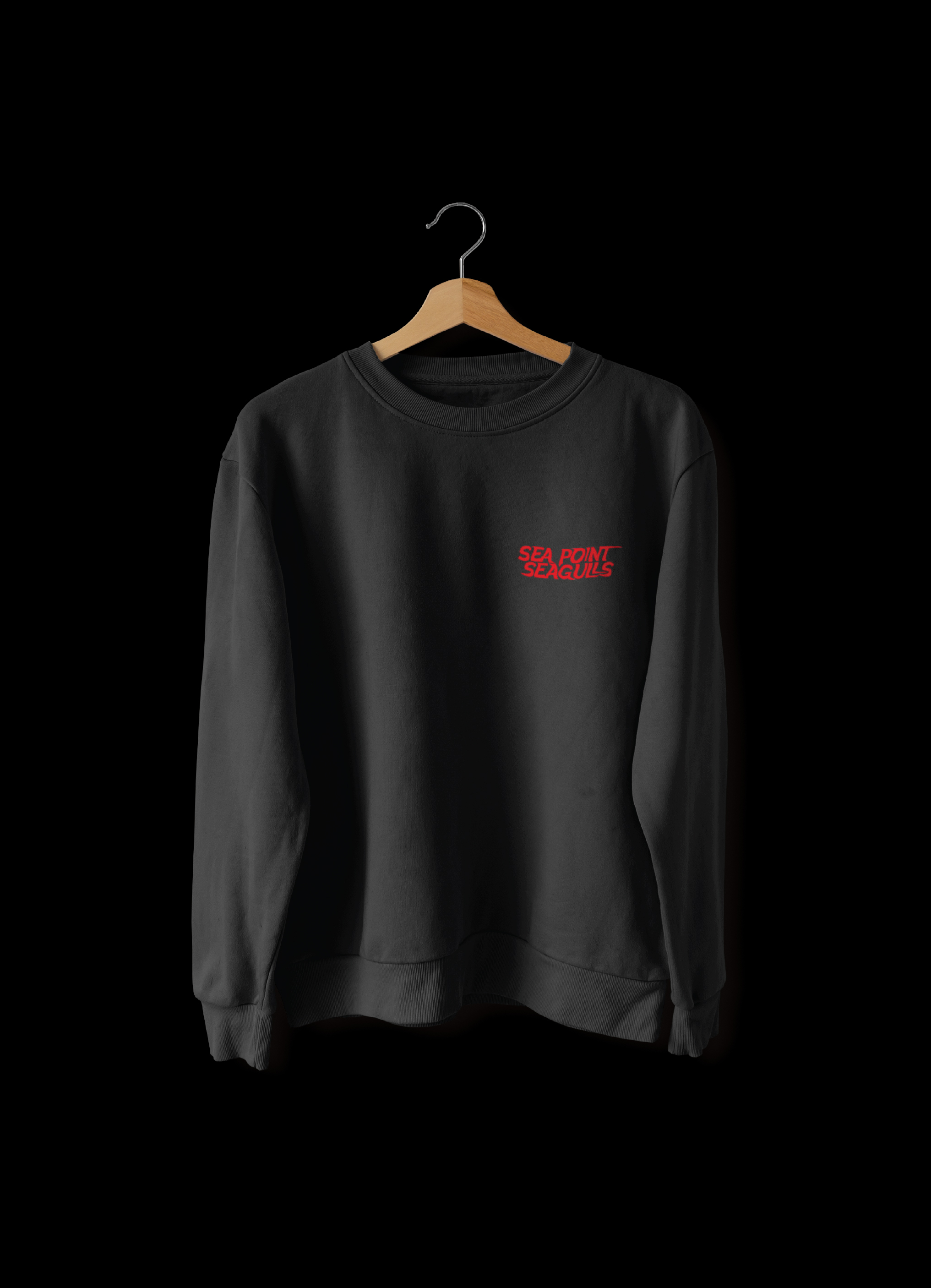 Seapoint Seagulls Brand & Design
