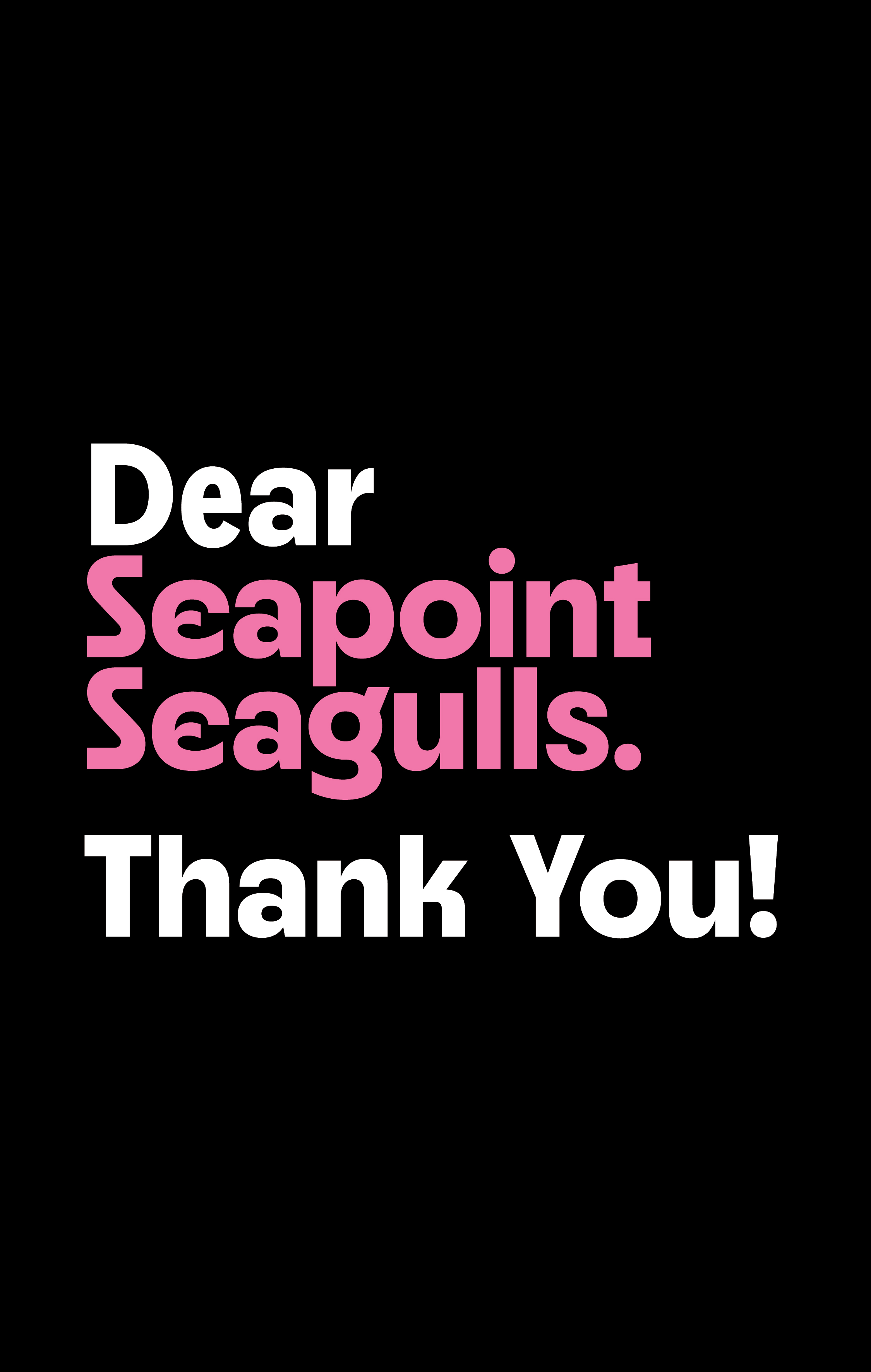 Seapoint Seagulls Brand & Design